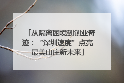 从隔离困境到创业奇迹：“深圳速度”点亮最美山庄新未来
