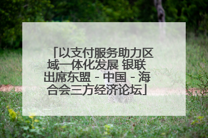 以支付服务助力区域一体化发展 银联出席东盟－中国－海合会三方经济论坛