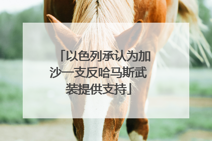 以色列承认为加沙一支反哈马斯武装提供支持