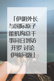 伊朗外长与国际原子能机构总干事同日到访开罗 讨论伊核问题