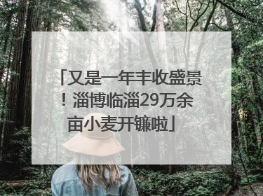 又是一年丰收盛景！淄博临淄29万余亩小麦开镰啦
