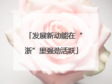 发展新动能在“浙”里强劲活跃