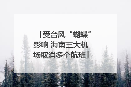 受台风“蝴蝶”影响 海南三大机场取消多个航班
