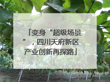 变身“超级场景”，四川天府新区产业创新再探路