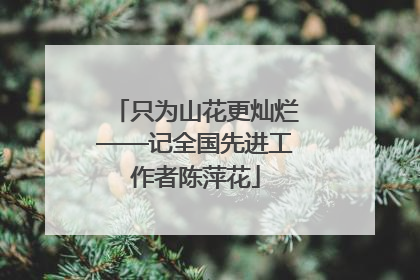 只为山花更灿烂——记全国先进工作者陈萍花