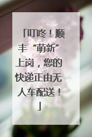 叮咚！顺丰“萌新”上岗，您的快递正由无人车配送！
