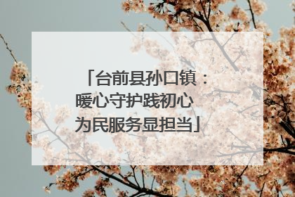 台前县孙口镇：暖心守护践初心 为民服务显担当