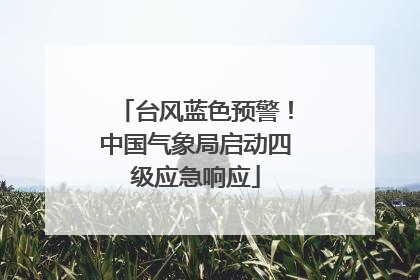 台风蓝色预警！中国气象局启动四级应急响应