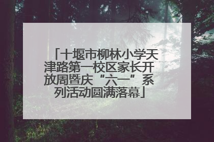 十堰市柳林小学天津路第一校区家长开放周暨庆“六一”系列活动圆满落幕