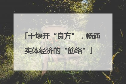 十堰开“良方”，畅通实体经济的“筋络”