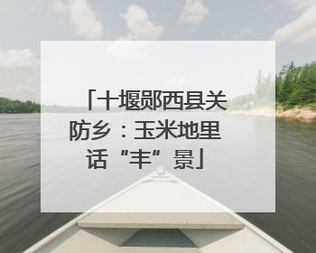 十堰郧西县关防乡：玉米地里话“丰”景