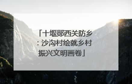 十堰郧西关防乡：沙沟村绘就乡村振兴文明画卷