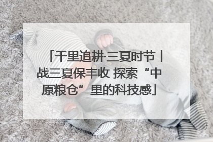 千里追耕·三夏时节丨战三夏保丰收 探索“中原粮仓”里的科技感