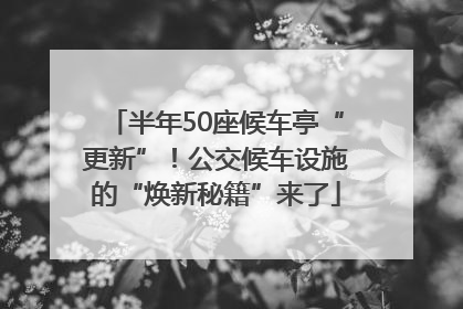 半年50座候车亭“更新”！公交候车设施的“焕新秘籍”来了