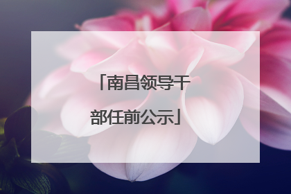 南昌领导干部任前公示