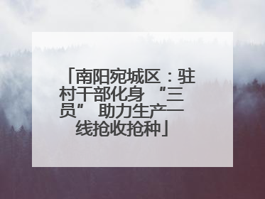 南阳宛城区：驻村干部化身 “三员” 助力生产一线抢收抢种