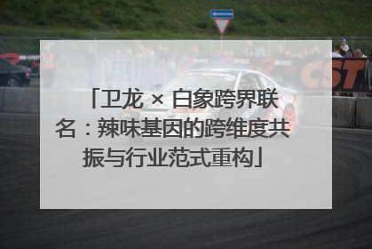 卫龙 × 白象跨界联名：辣味基因的跨维度共振与行业范式重构