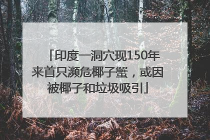 印度一洞穴现150年来首只濒危椰子蟹，或因被椰子和垃圾吸引