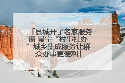 县城开了老家服务窗 景宁“村事社办”城乡集成服务让群众办事更便利