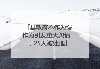 县政府不作为慢作为引发重大舆情，25人被处理