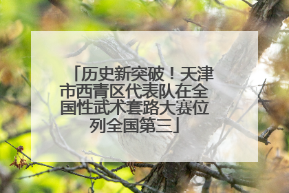 历史新突破！天津市西青区代表队在全国性武术套路大赛位列全国第三