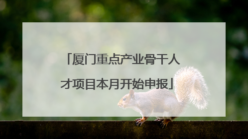 厦门重点产业骨干人才项目本月开始申报