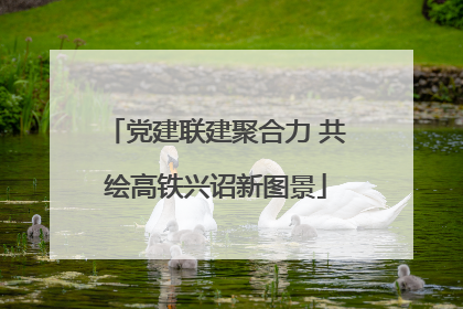 党建联建聚合力 共绘高铁兴诏新图景