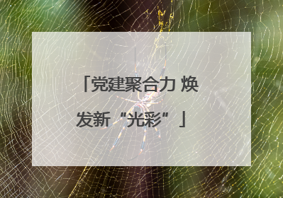 党建聚合力 焕发新“光彩”