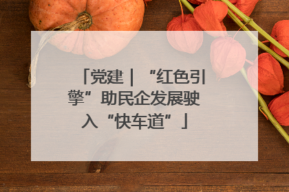 党建｜“红色引擎”助民企发展驶入“快车道”
