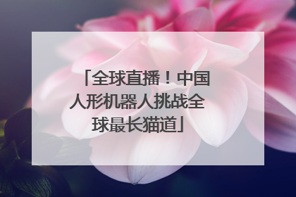 全球直播！中国人形机器人挑战全球最长猫道