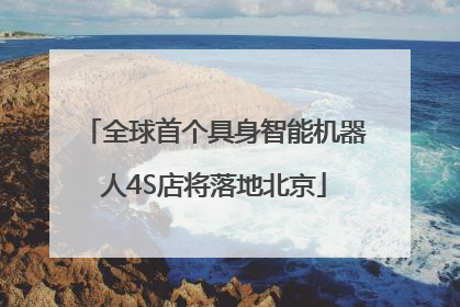 全球首个具身智能机器人4S店将落地北京
