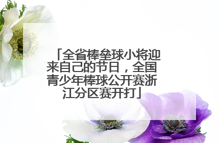 全省棒垒球小将迎来自己的节日，全国青少年棒球公开赛浙江分区赛开打