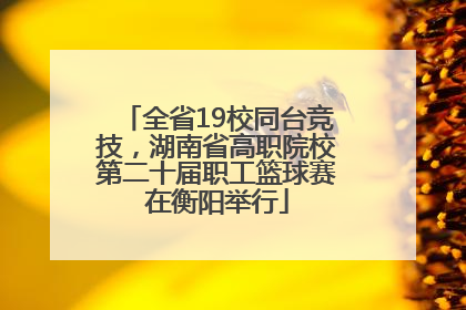 全省19校同台竞技，湖南省高职院校第二十届职工篮球赛在衡阳举行