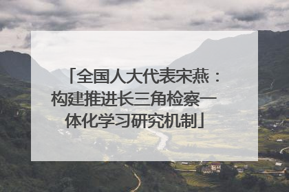 全国人大代表宋燕：构建推进长三角检察一体化学习研究机制
