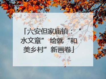 六安但家庙镇：“水文章” 绘就“和美乡村”新画卷