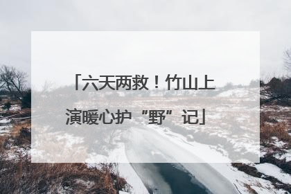 六天两救！竹山上演暖心护“野”记