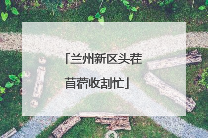 兰州新区头茬苜蓿收割忙