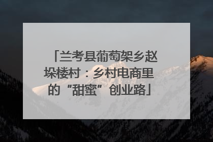 兰考县葡萄架乡赵垛楼村：乡村电商里的“甜蜜”创业路