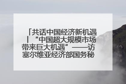 共话中国经济新机遇丨“中国超大规模市场带来巨大机遇”——访塞尔维亚经济部国务秘书尼科利奇