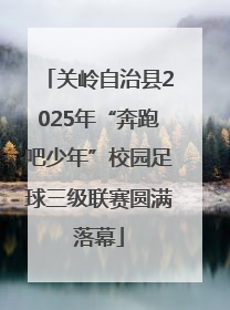 关岭自治县2025年“奔跑吧少年”校园足球三级联赛圆满落幕