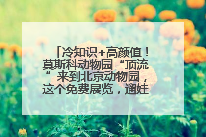 冷知识+高颜值！莫斯科动物园“顶流”来到北京动物园，这个免费展览，遛娃拍照两不误！