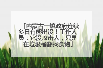 内蒙古一镇政府连续多日有熊出没！工作人员：它没攻击人，只是在垃圾桶翻找食物