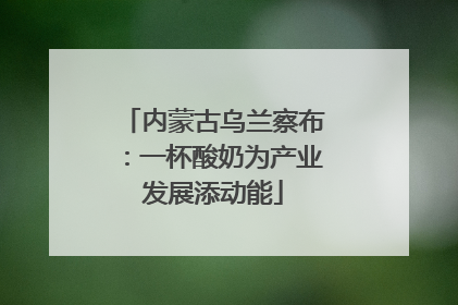 内蒙古乌兰察布：一杯酸奶为产业发展添动能