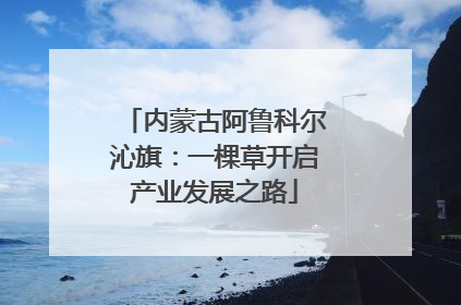内蒙古阿鲁科尔沁旗：一棵草开启产业发展之路