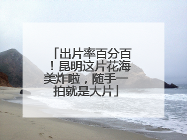 出片率百分百！昆明这片花海美炸啦，随手一拍就是大片
