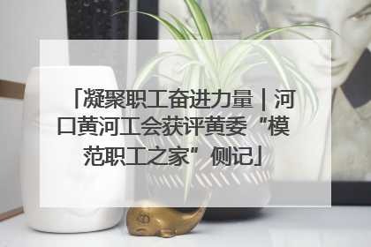 凝聚职工奋进力量｜河口黄河工会获评黄委“模范职工之家”侧记
