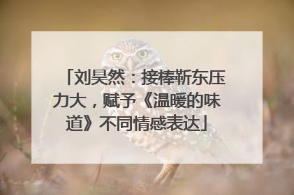 刘昊然：接棒靳东压力大，赋予《温暖的味道》不同情感表达