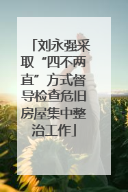 刘永强采取“四不两直”方式督导检查危旧房屋集中整治工作