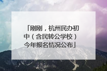 刚刚，杭州民办初中（含民转公学校）今年报名情况公布