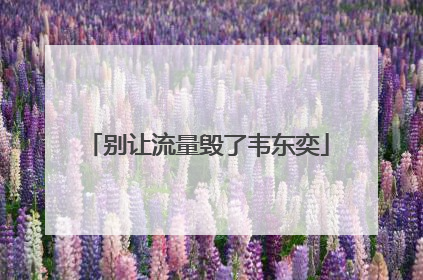 别让流量毁了韦东奕